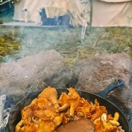 Skovly - Littlest Camp Tranekær